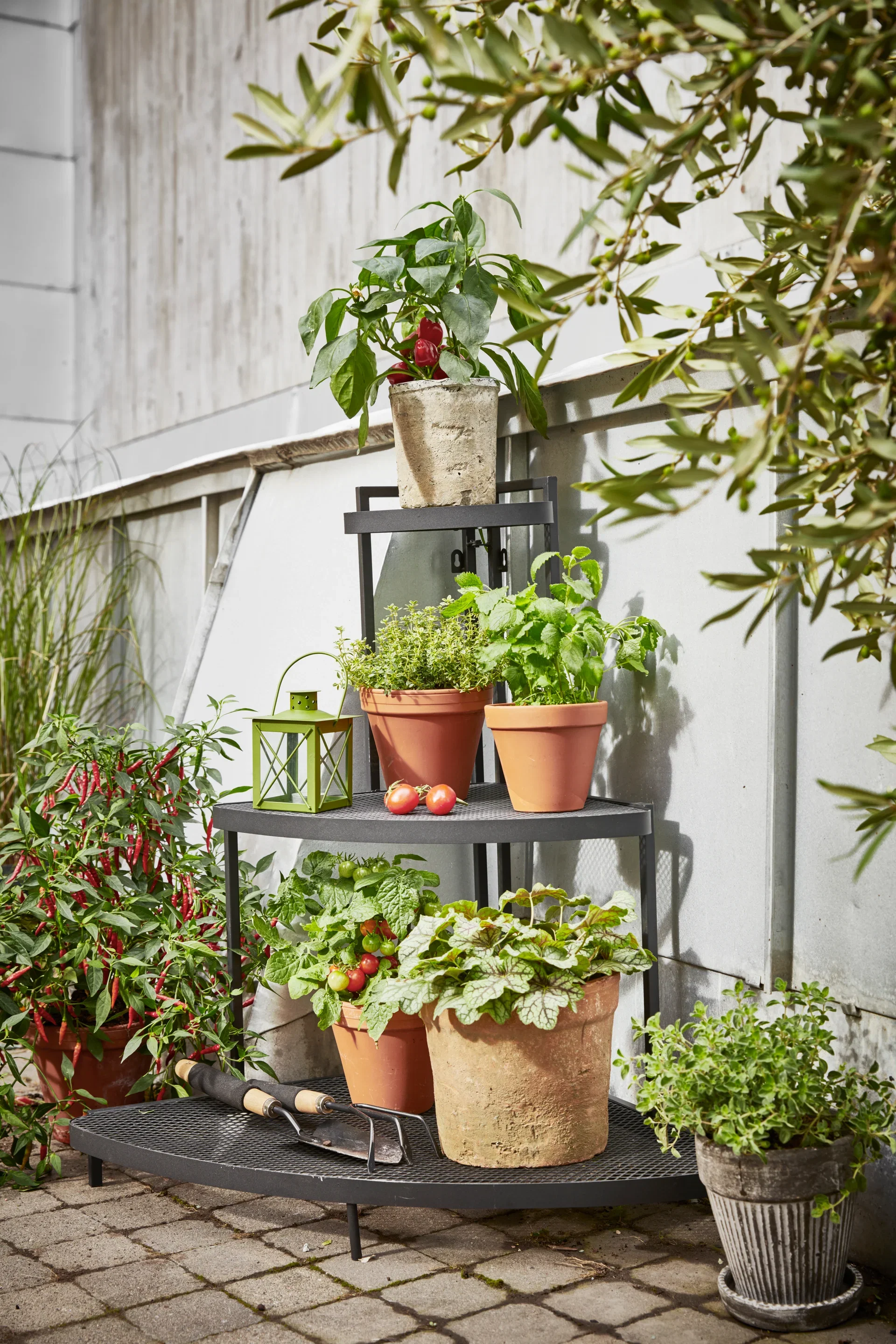 Plant pot D26 terracotta