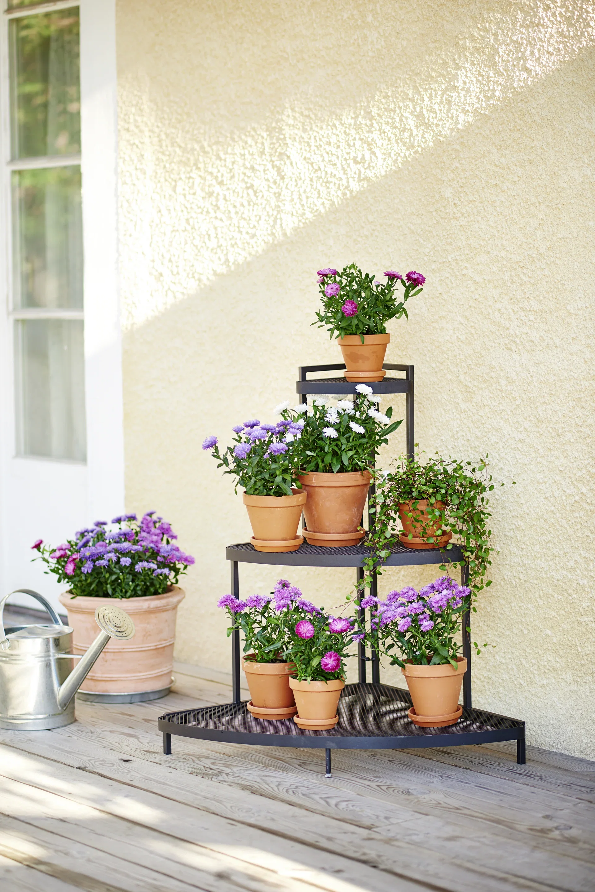 Saucer D24 w/s terracotta