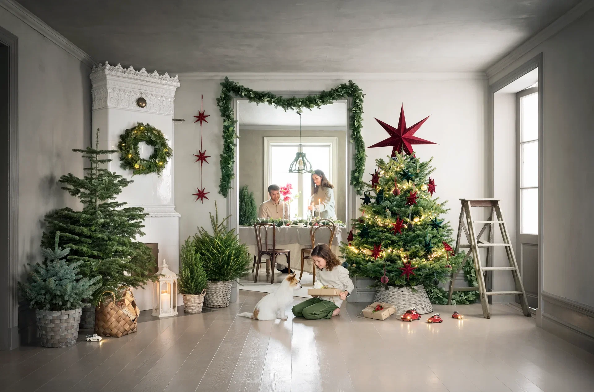 Abies Nordmanniana 220-270 cm