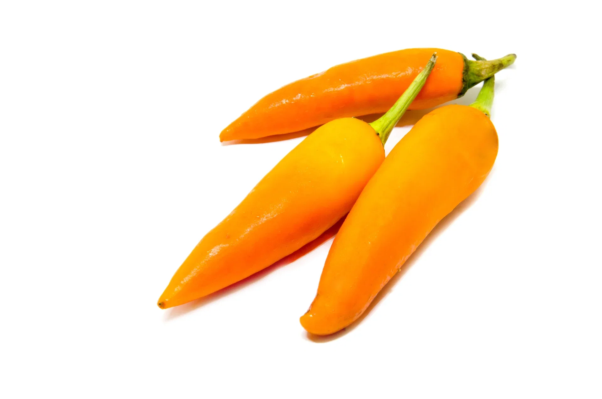 All N. Capsicum Chili 'Cheyenne' 10,5 cm