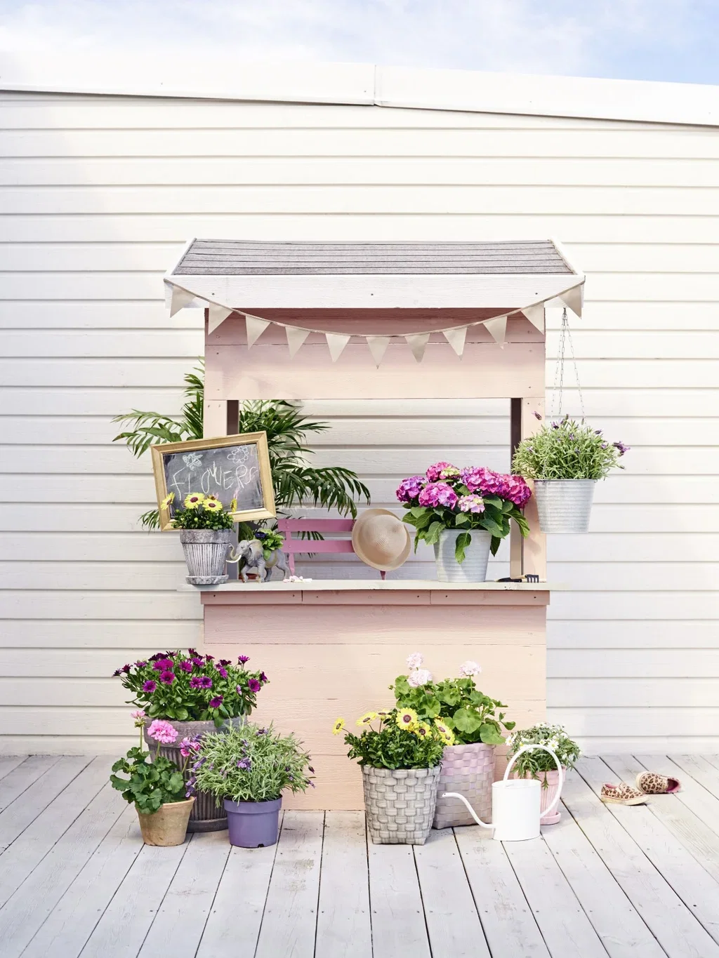 Osteospermum Yellow'ish 11 cm