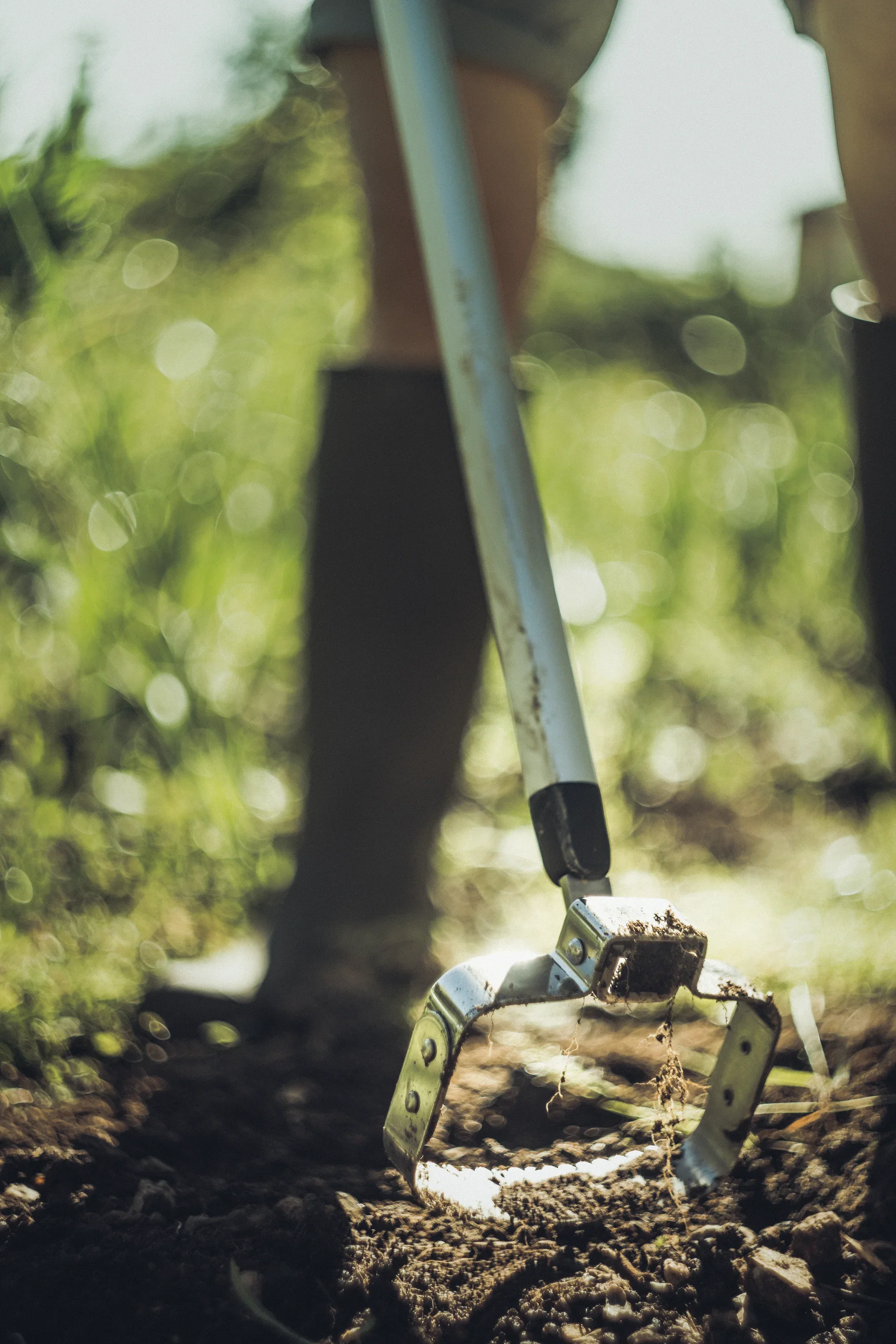 Xact Push-Pull Weeder