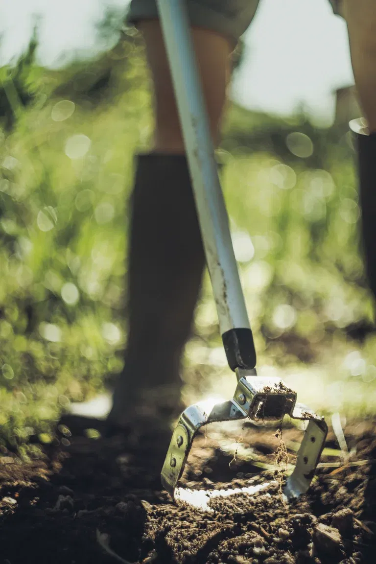 Xact Push-Pull Weeder