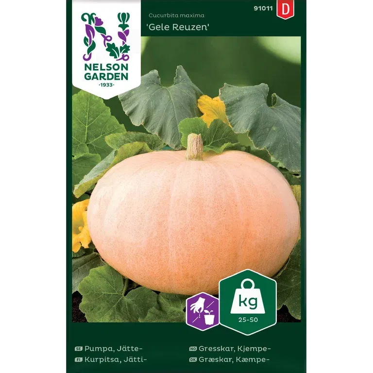 Pumpa, Jätte-, Gele Reuzen