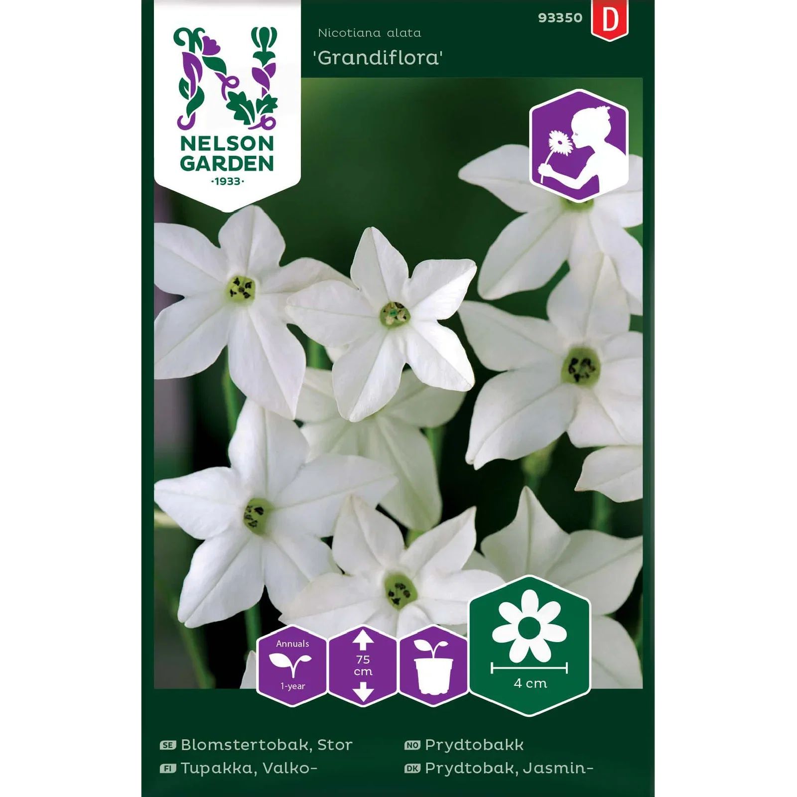 Blomstertobak, Stor-, Grandifl