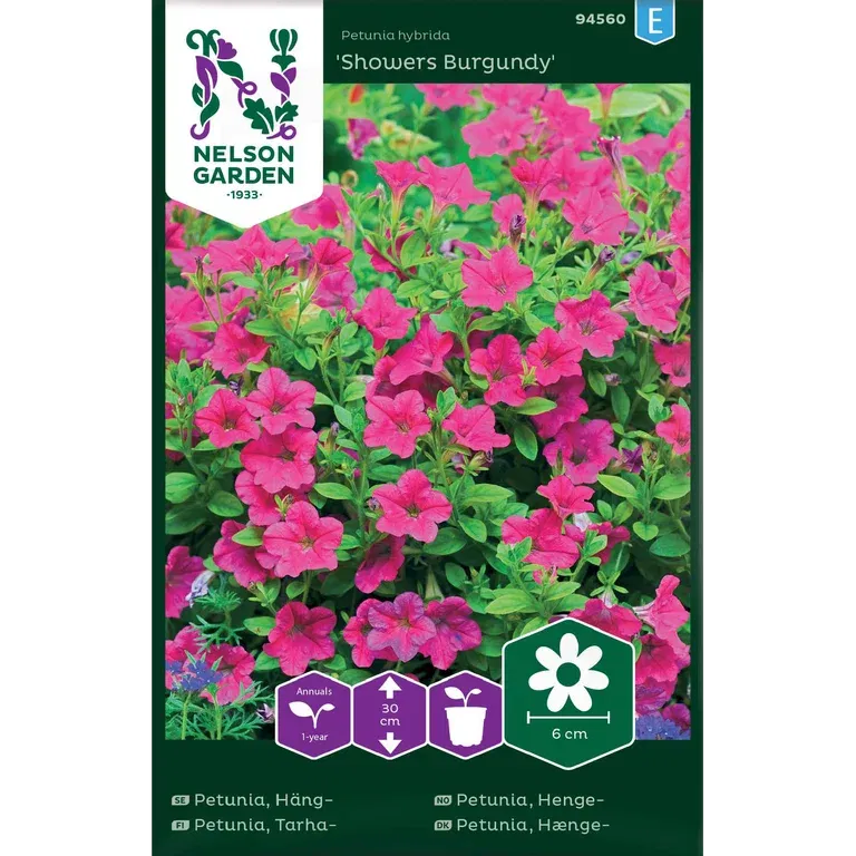 Hengepetunia 'Showers Burgundy'