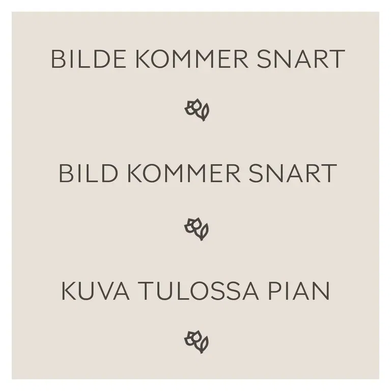 Perfect Match 5 Narcissus 12/1