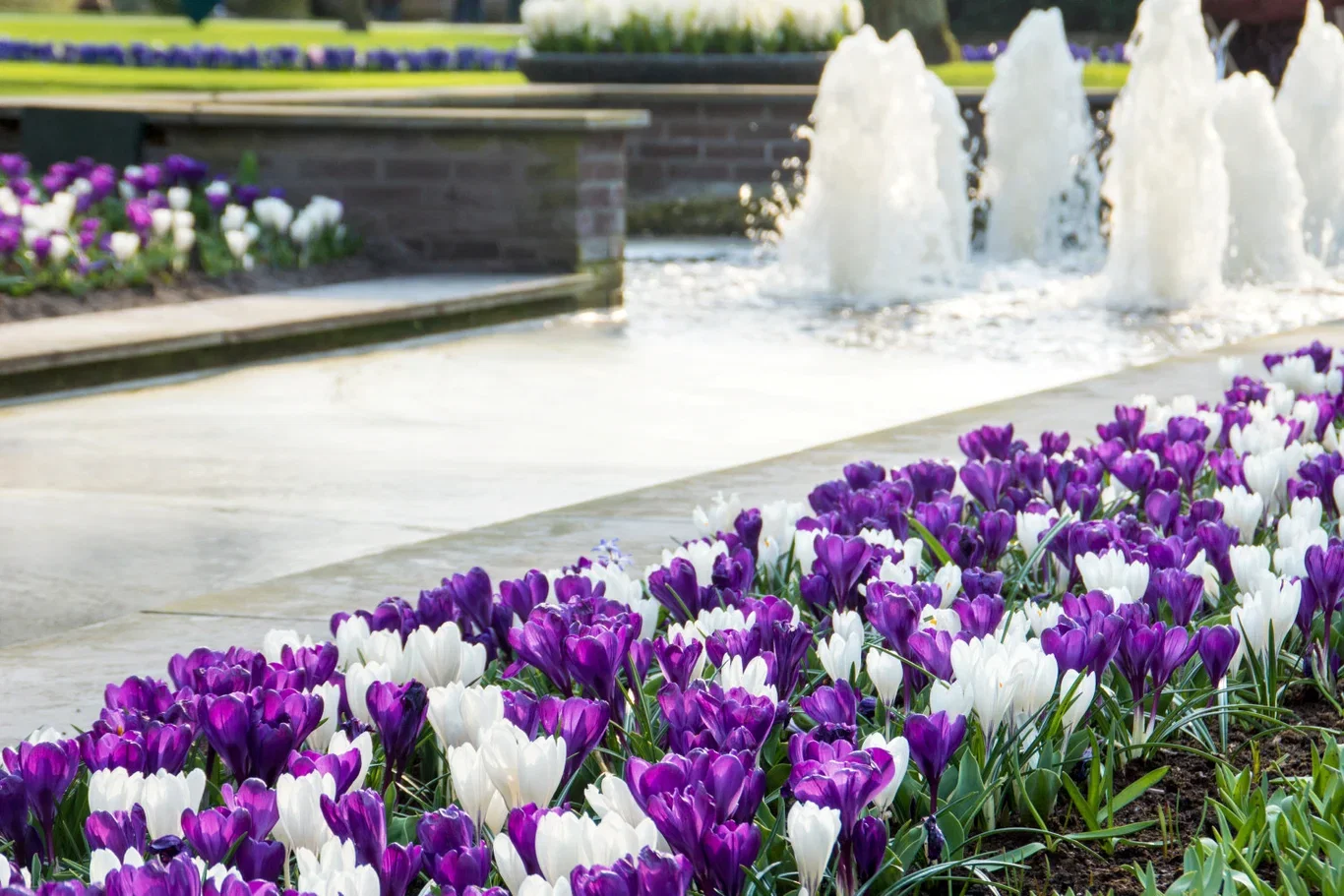 Perfect Match 16 Crocus Blue B