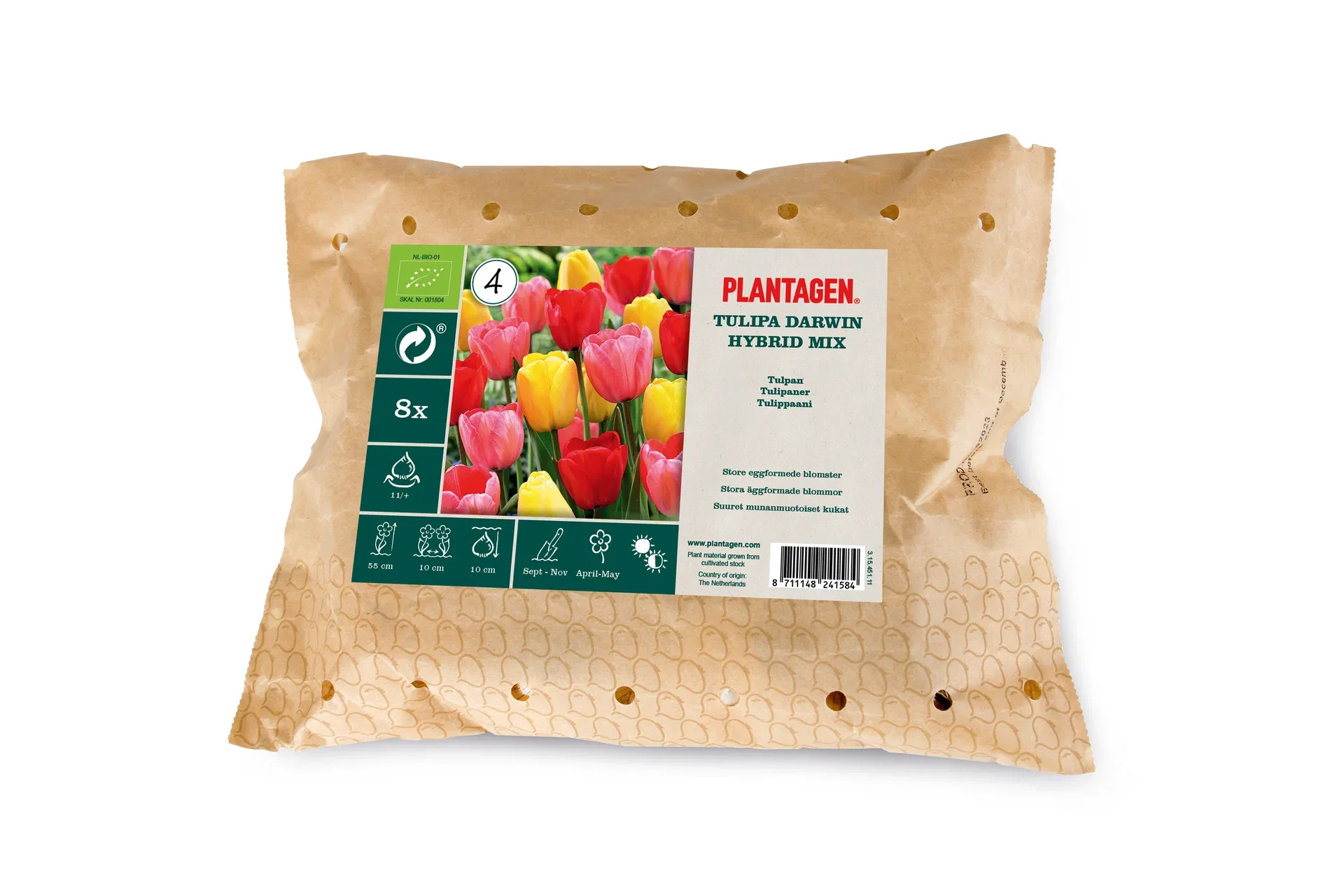 Tulipa Darwin Hybrid Mix 11/