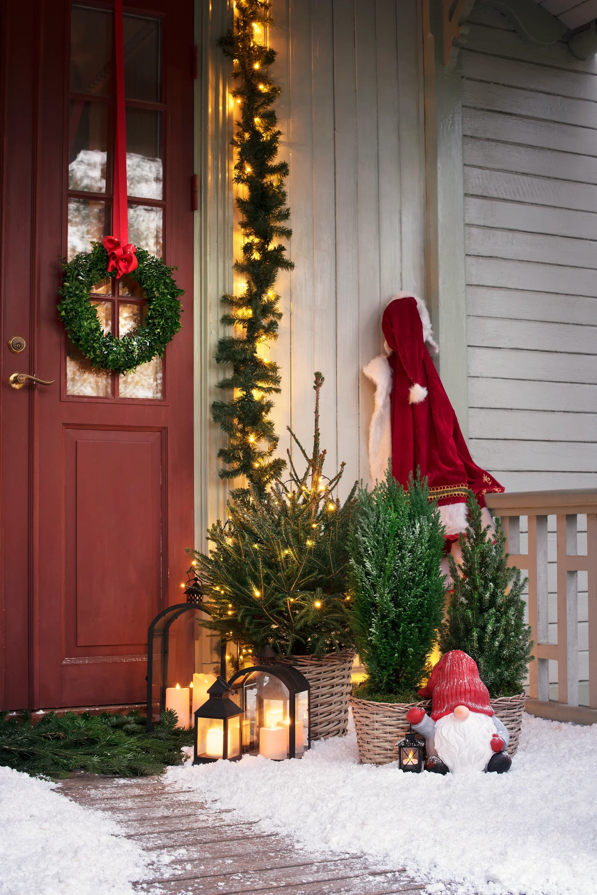 Juniperus chin. 'Stricta' 26 cm