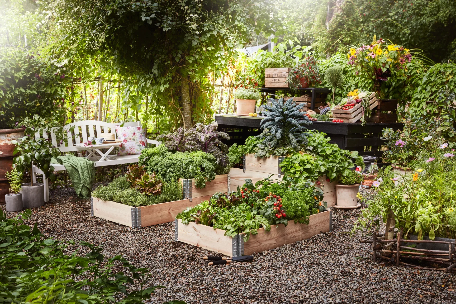 Ready Cherry Tomato Red 14 cm