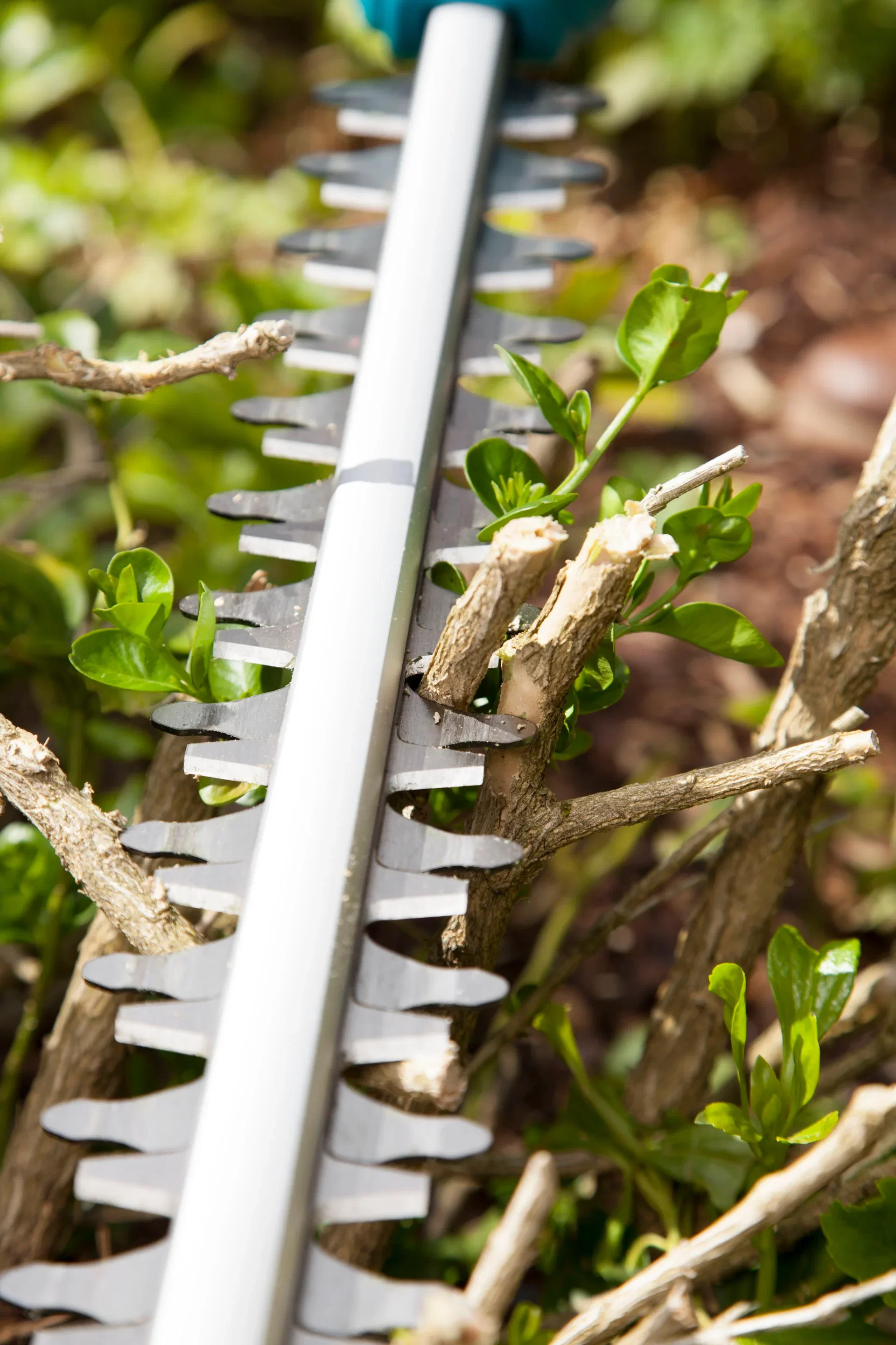 Telescopic Hedge Trimmer THS 5