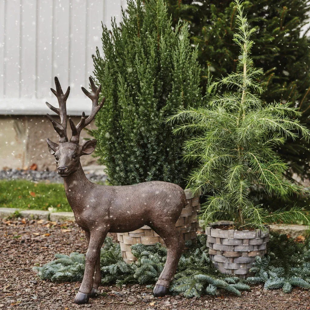 Cedrus deodara 19 cm