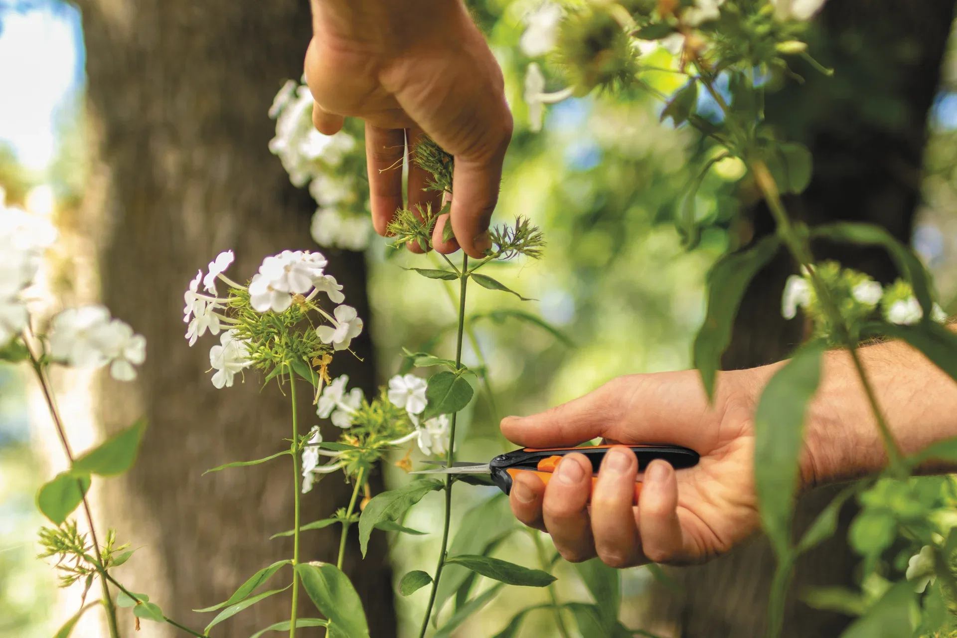 Solid Snip Pruning Microtip SP13