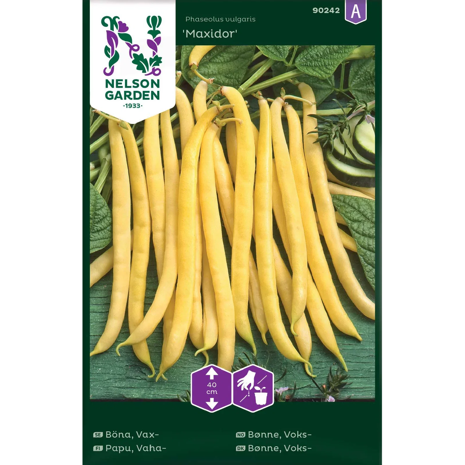 Böna, Vax-, Maxidor