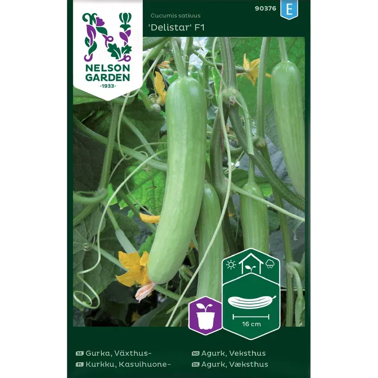 Gurka, Växthus-, Delistar F1