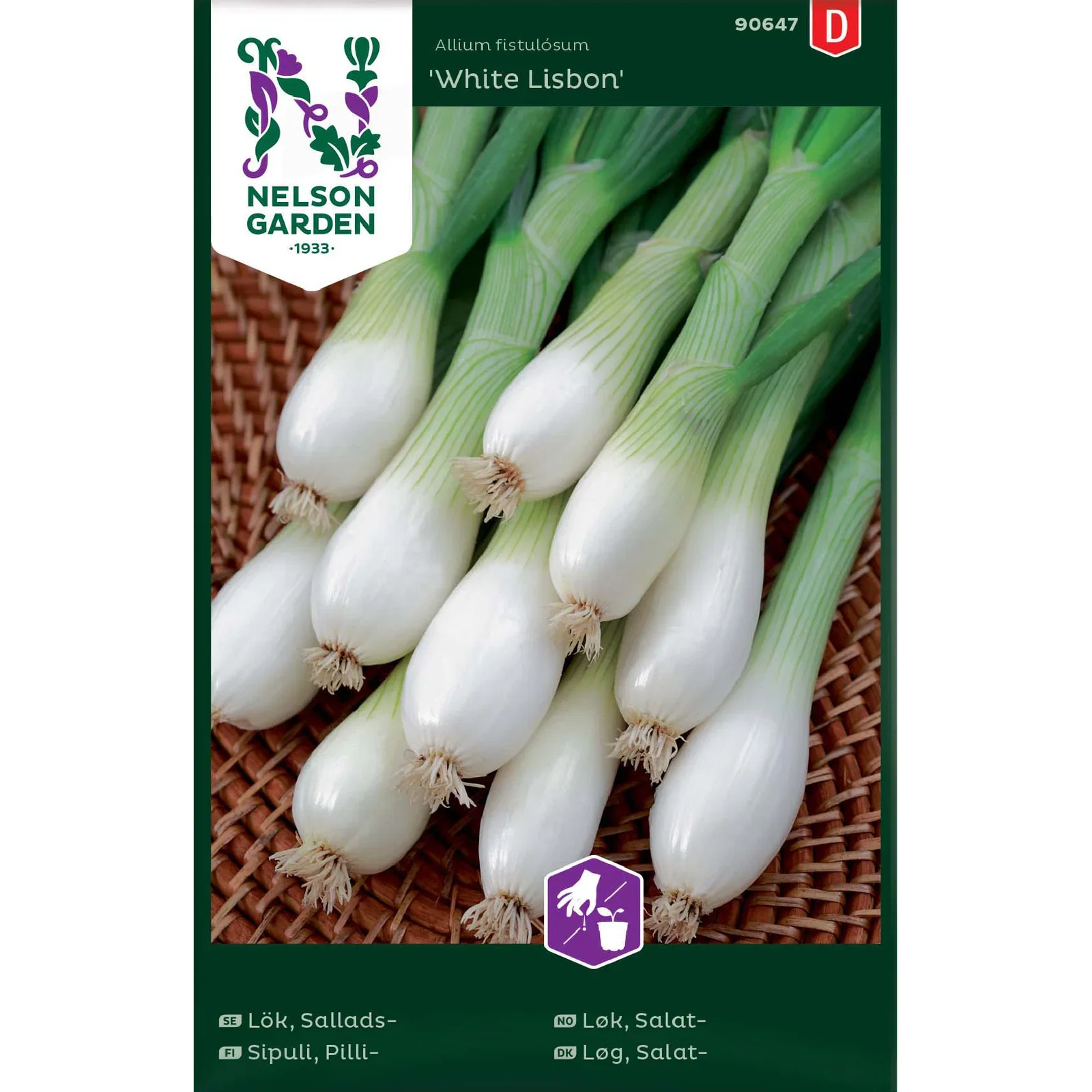 Salatløk 'White Lisbon'