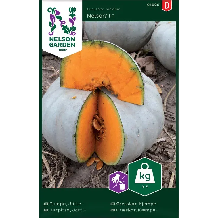 Pumpa, Jätte-, Nelson F1