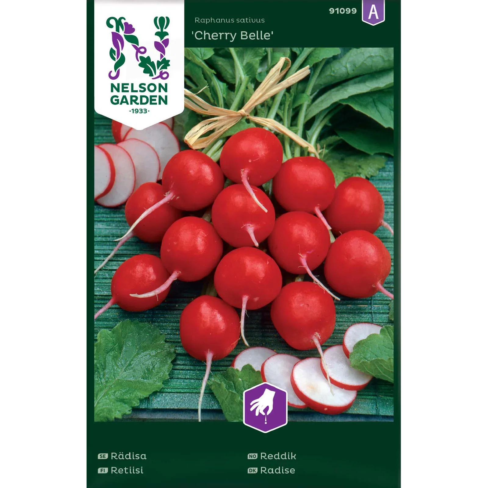 Rädisa, Cherry Belle, rund