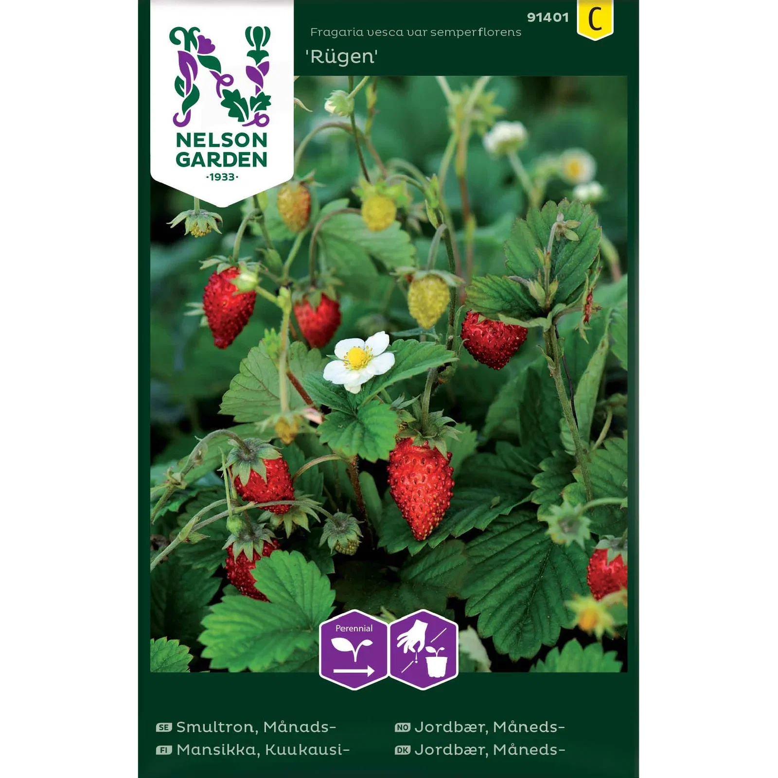 Smultron, Månads-, Rügen