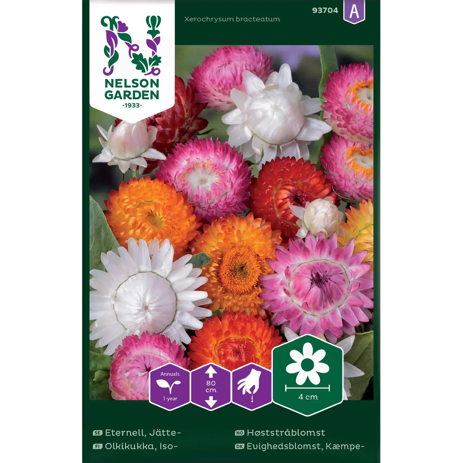 Eternell, Jätte-, hög, bl färg