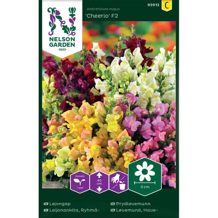 Lejongap, Cheerio F2, låg, bl