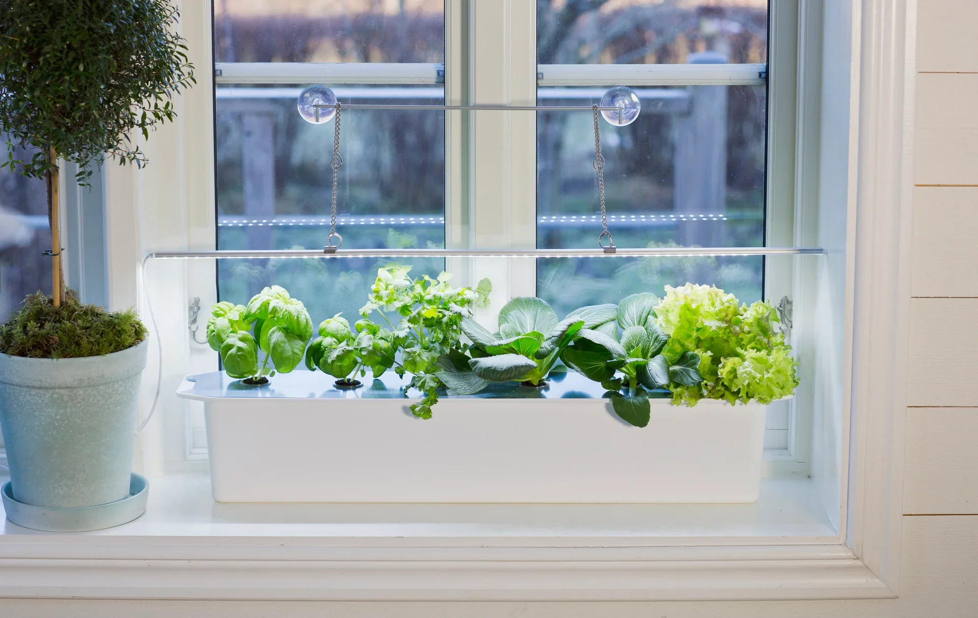 Plant Light. LED No.1 85cm 23W