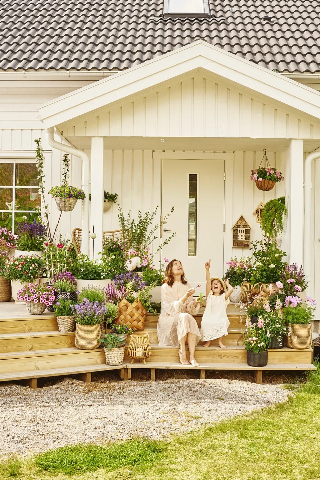 Nepeta x faassenii 'Purrsian Blue' 19cm