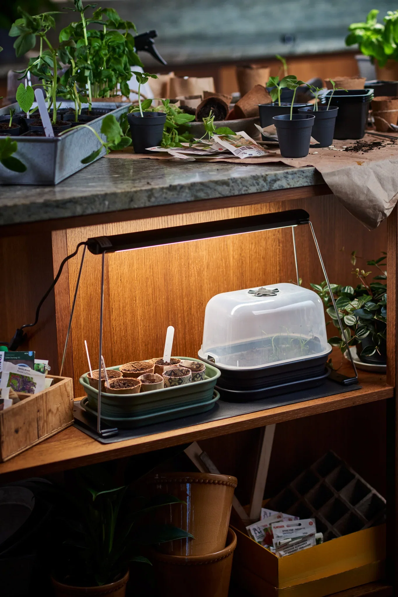 "Crescendo" Table grow light