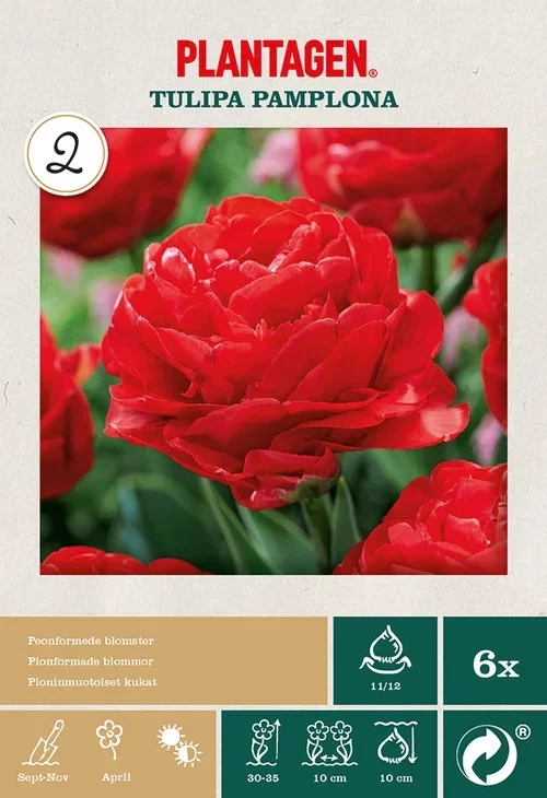 Tulipa Double Early Pamplona 6 bulbs