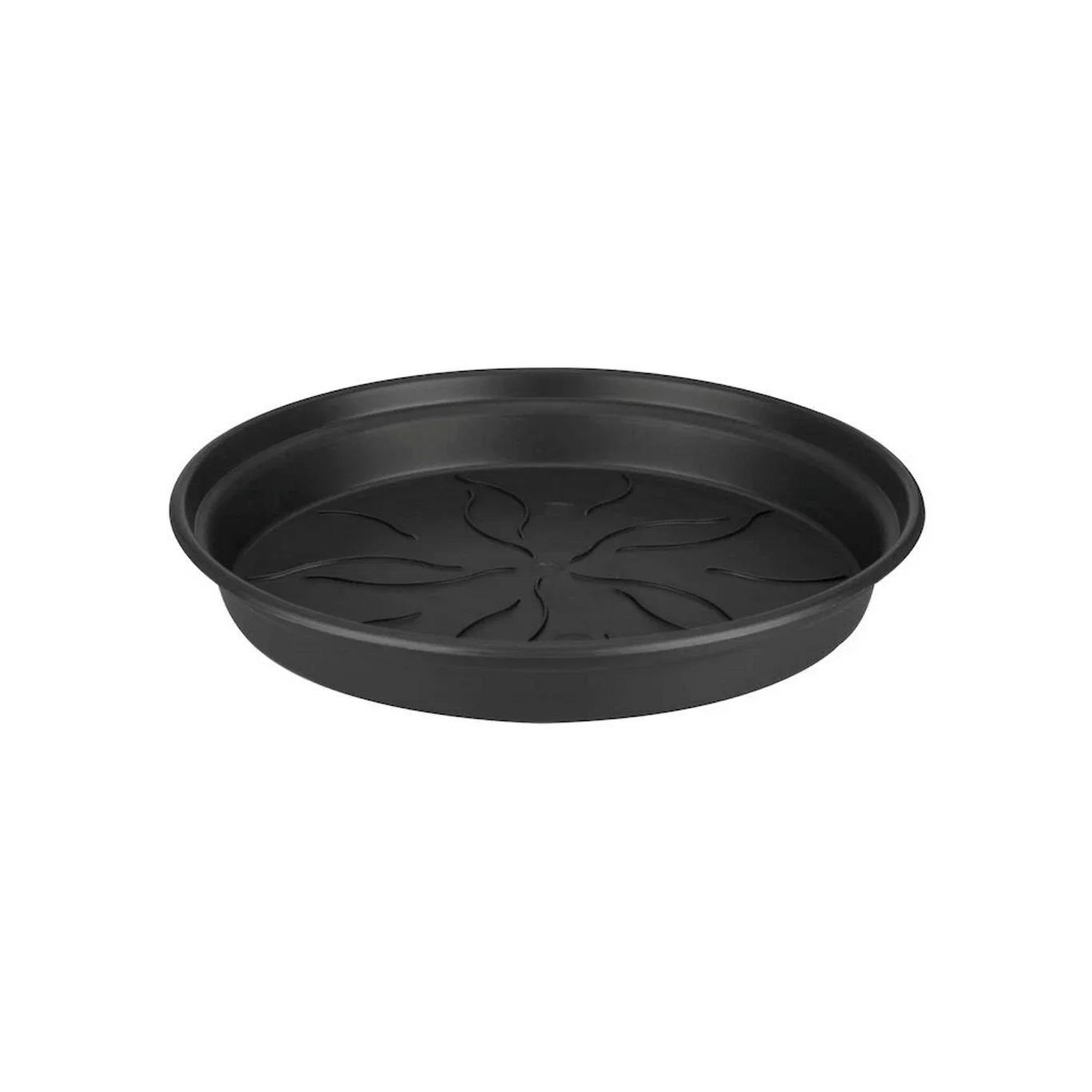 Green basics saucer D34 black