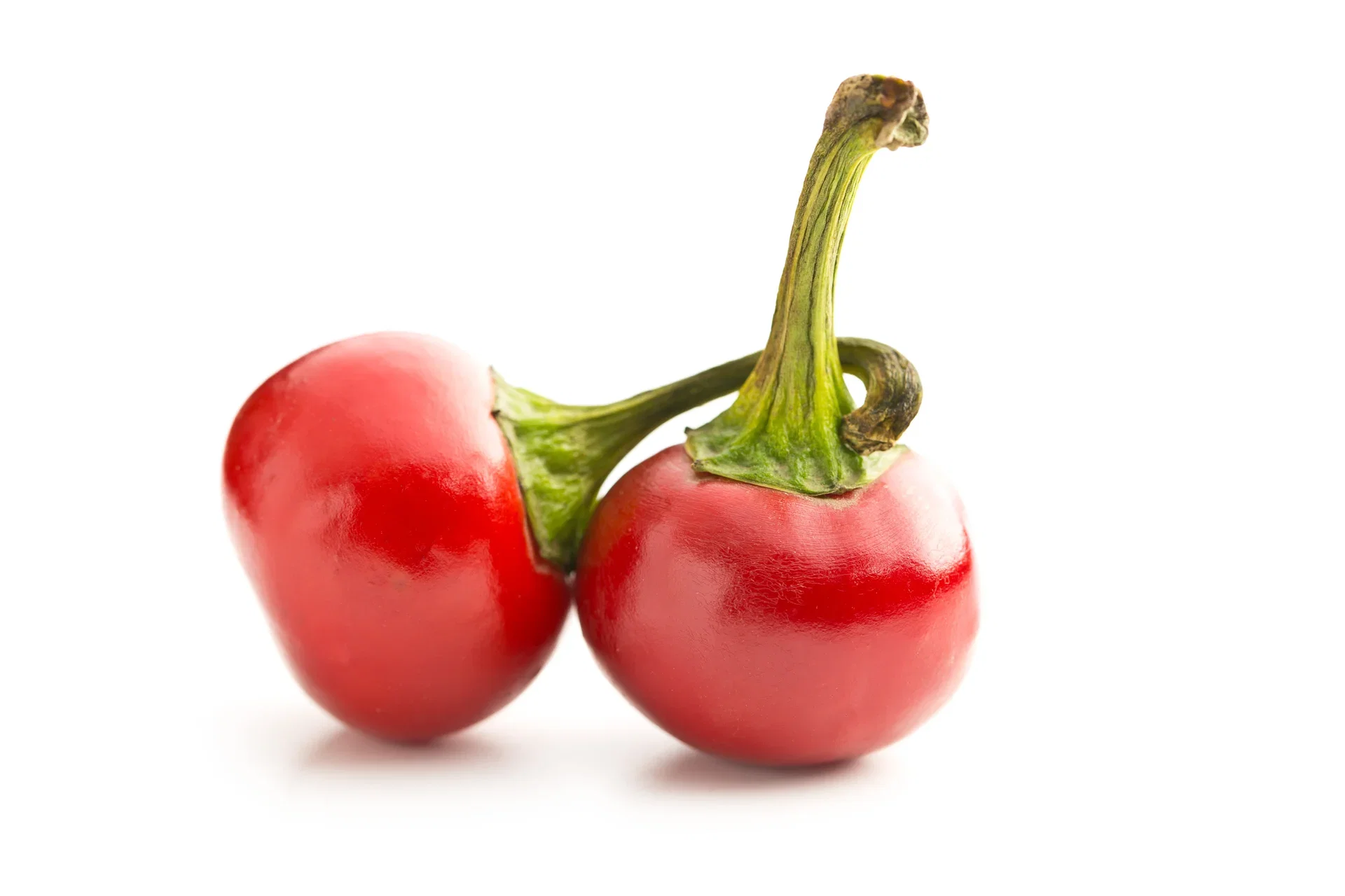 All N. Capsicum Chili 'Hungarian Round' 10,5 cm