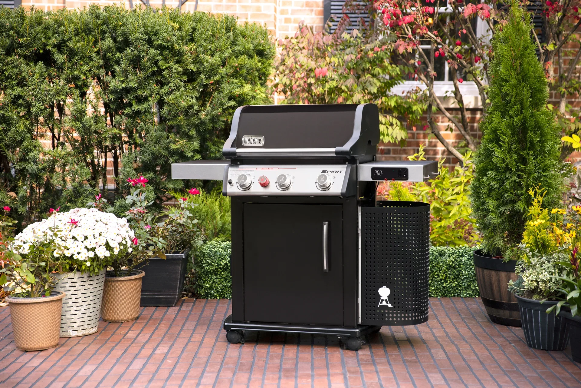 Gas Grill Spirit EPX-325S