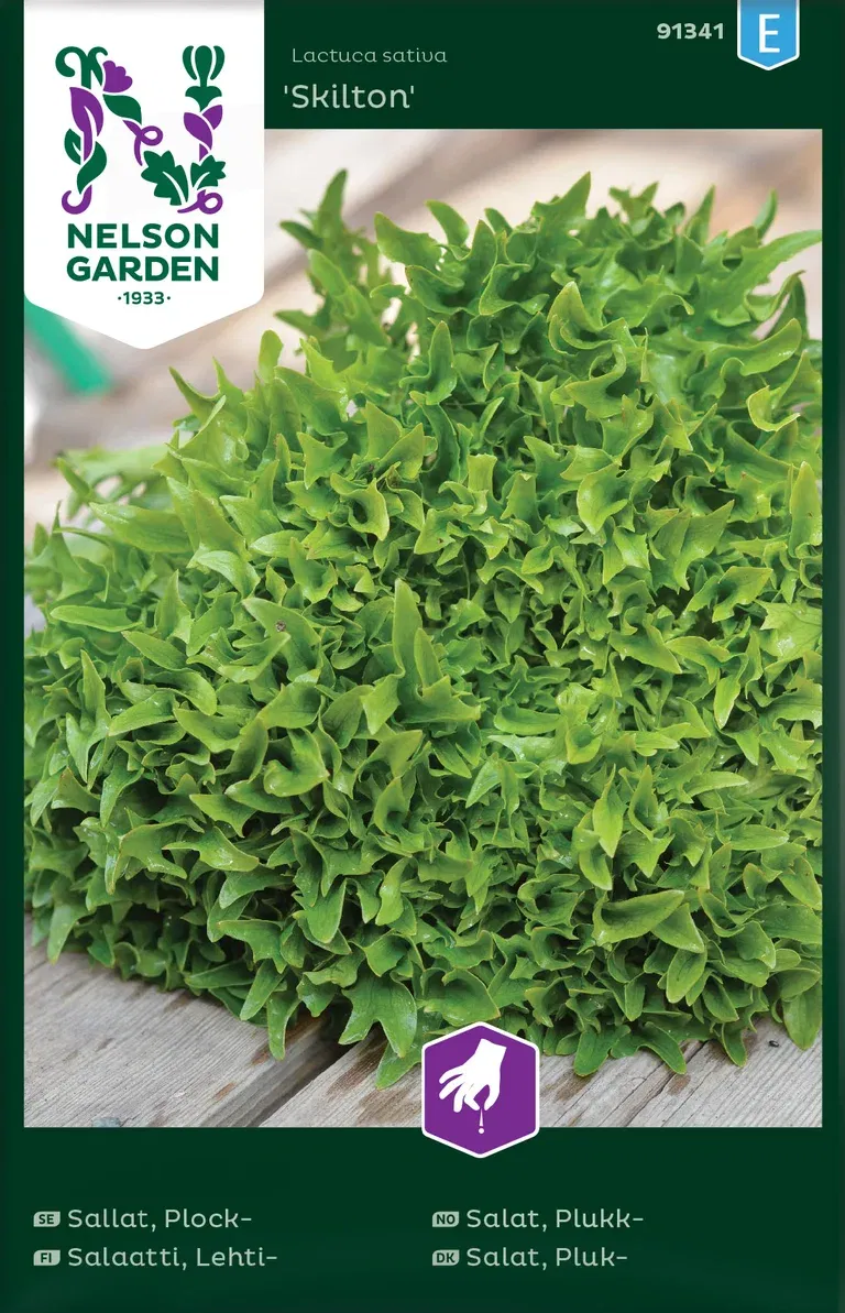 Sallat, Plock-, Skilton