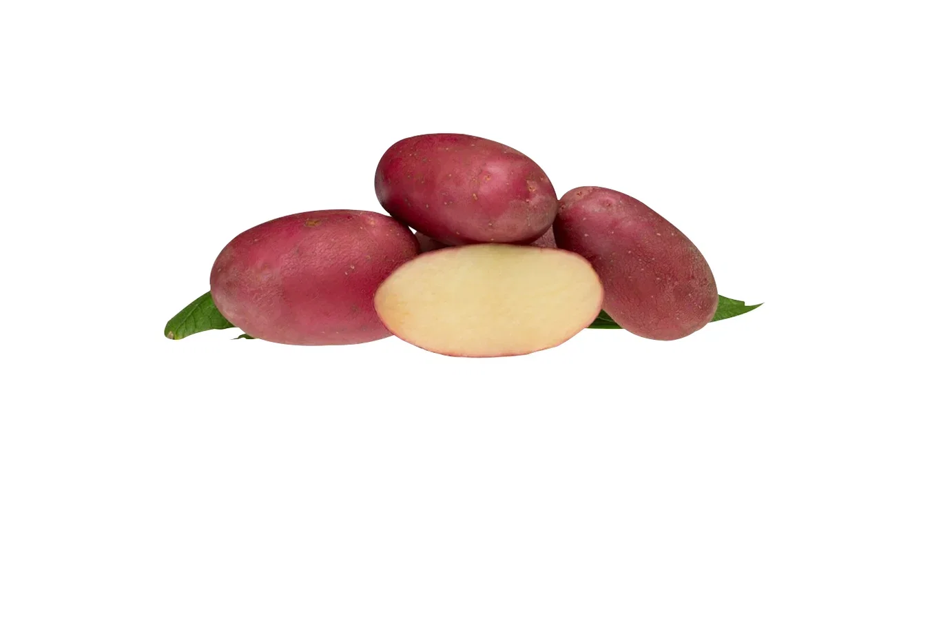 Potato Evolution 2,5kg