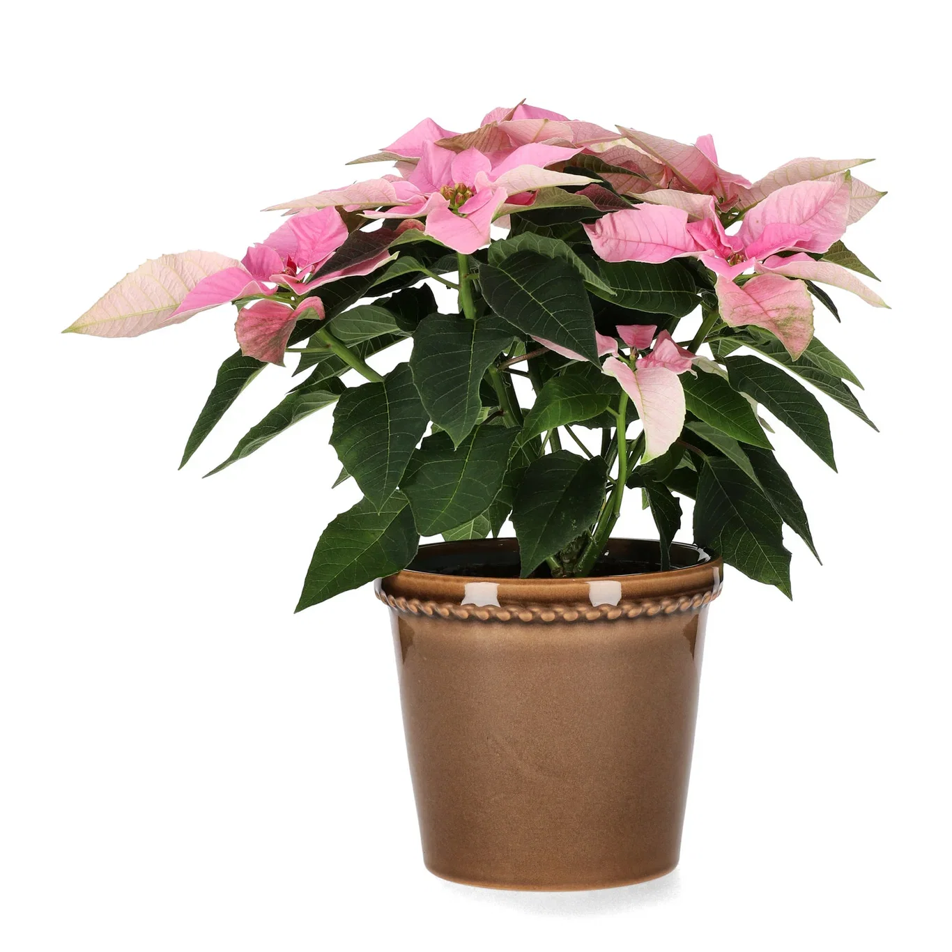 Elliot pot D13,5 grey