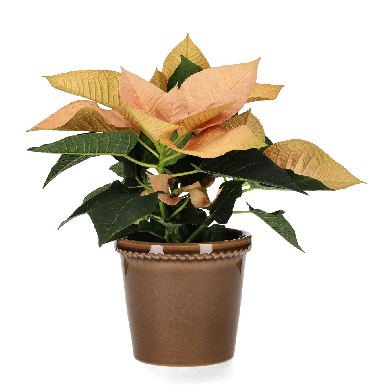 Elliot pot D13,5 grey