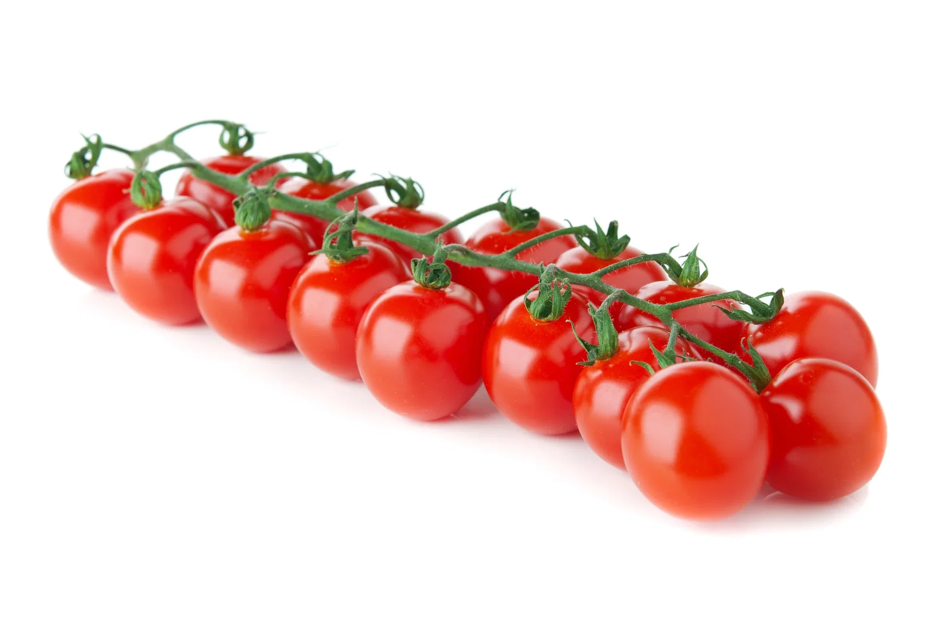 All N. Lycopersicum cherry 'Red Cherry' 10,5 cm