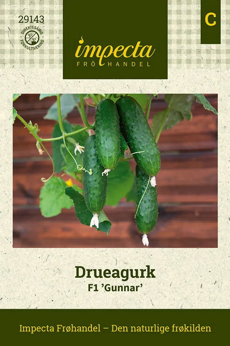 Cucumis sativus F1 'Gunnar'
