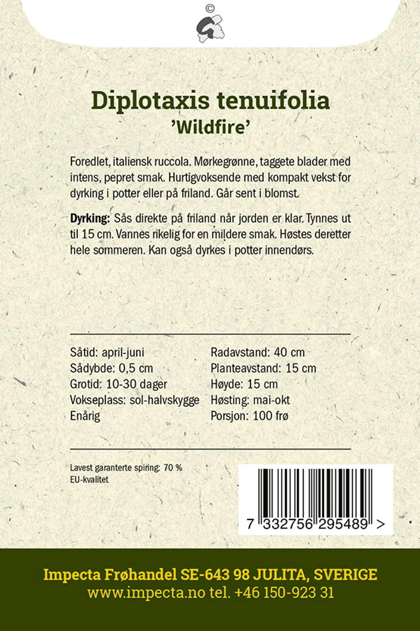 Diplotaxis tenuifolia 'Wildfire'