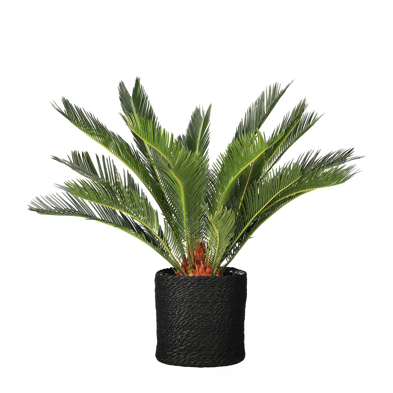 Naledi pot D20 black