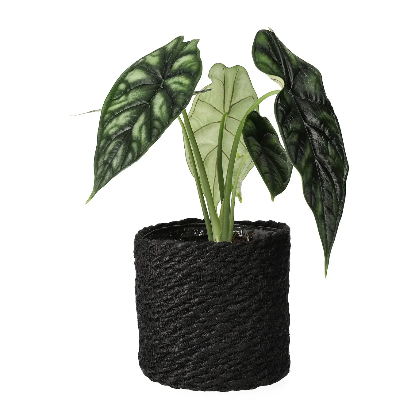 Naledi pot D11,5 black