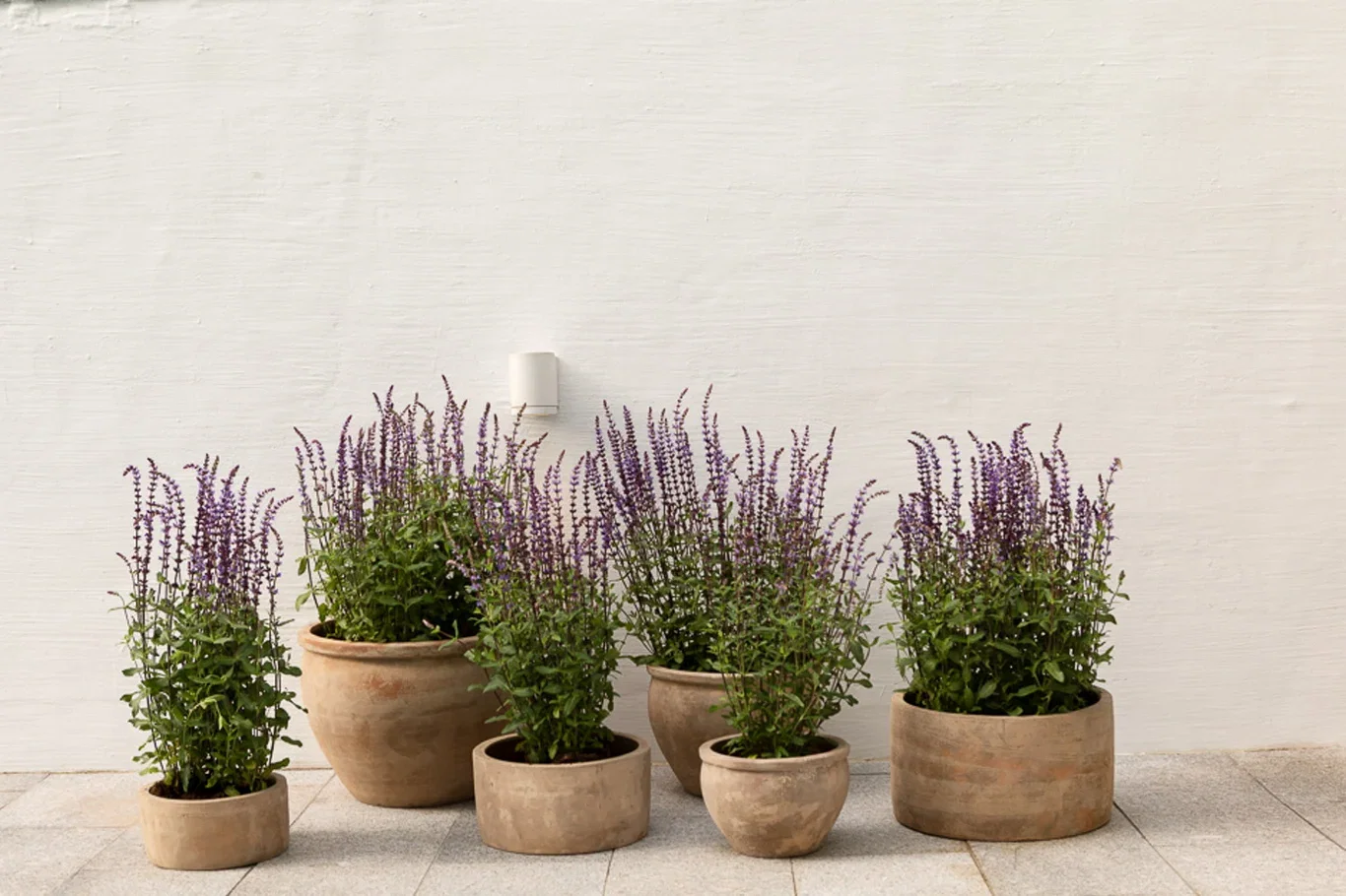 Cory terracotta pot D50 beige