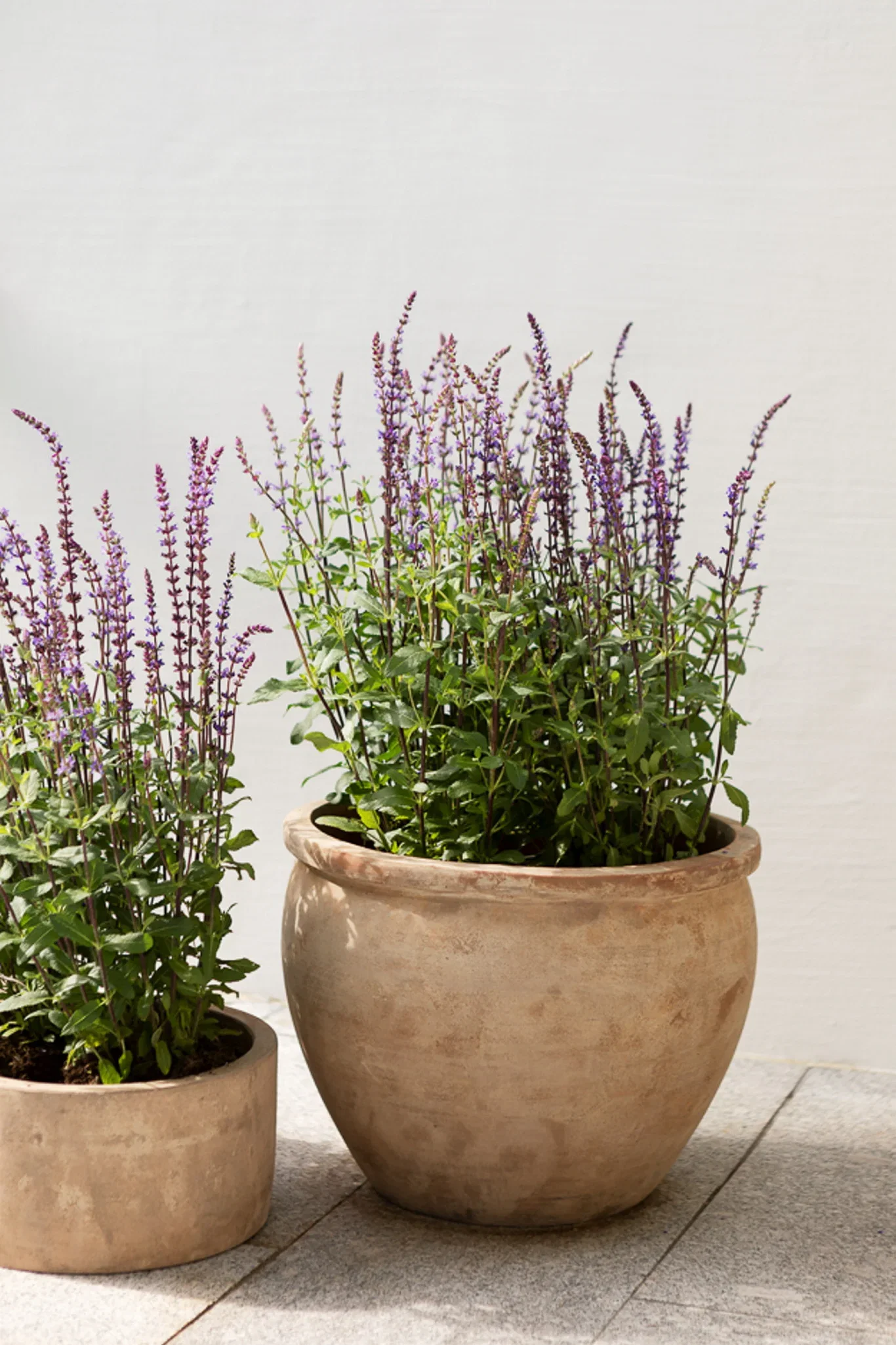 Cory terracotta pot D40 beige