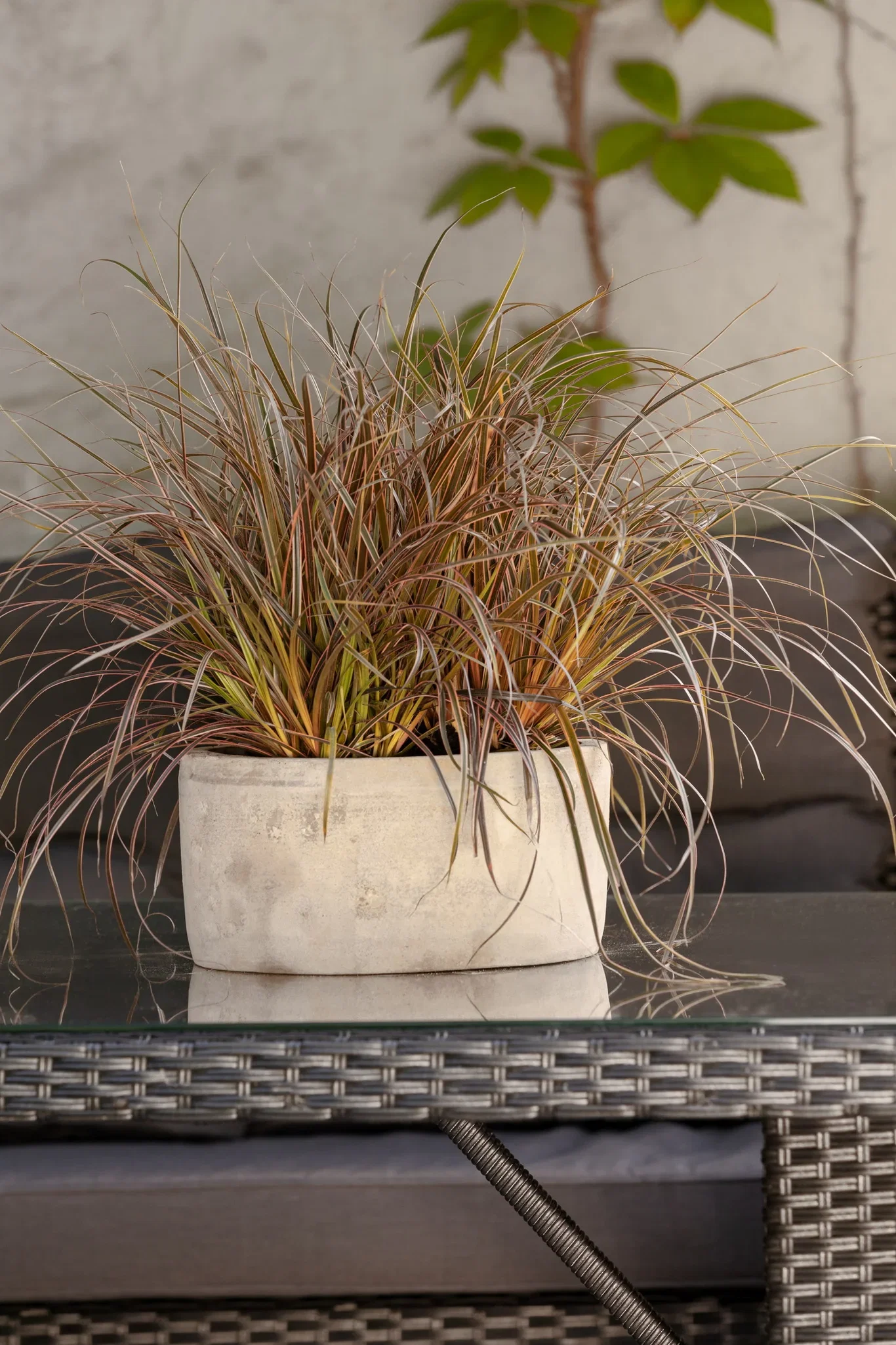 Rudy pot D31 terracotta