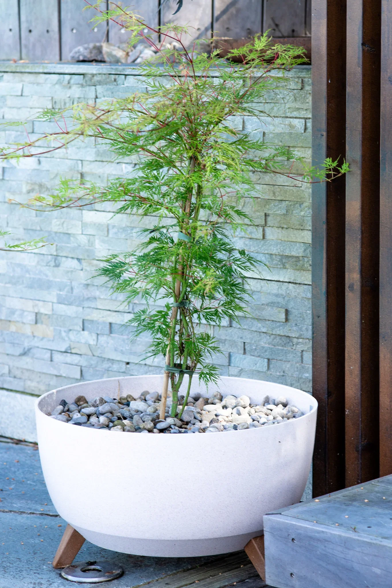 Hillegom bowl D47 white