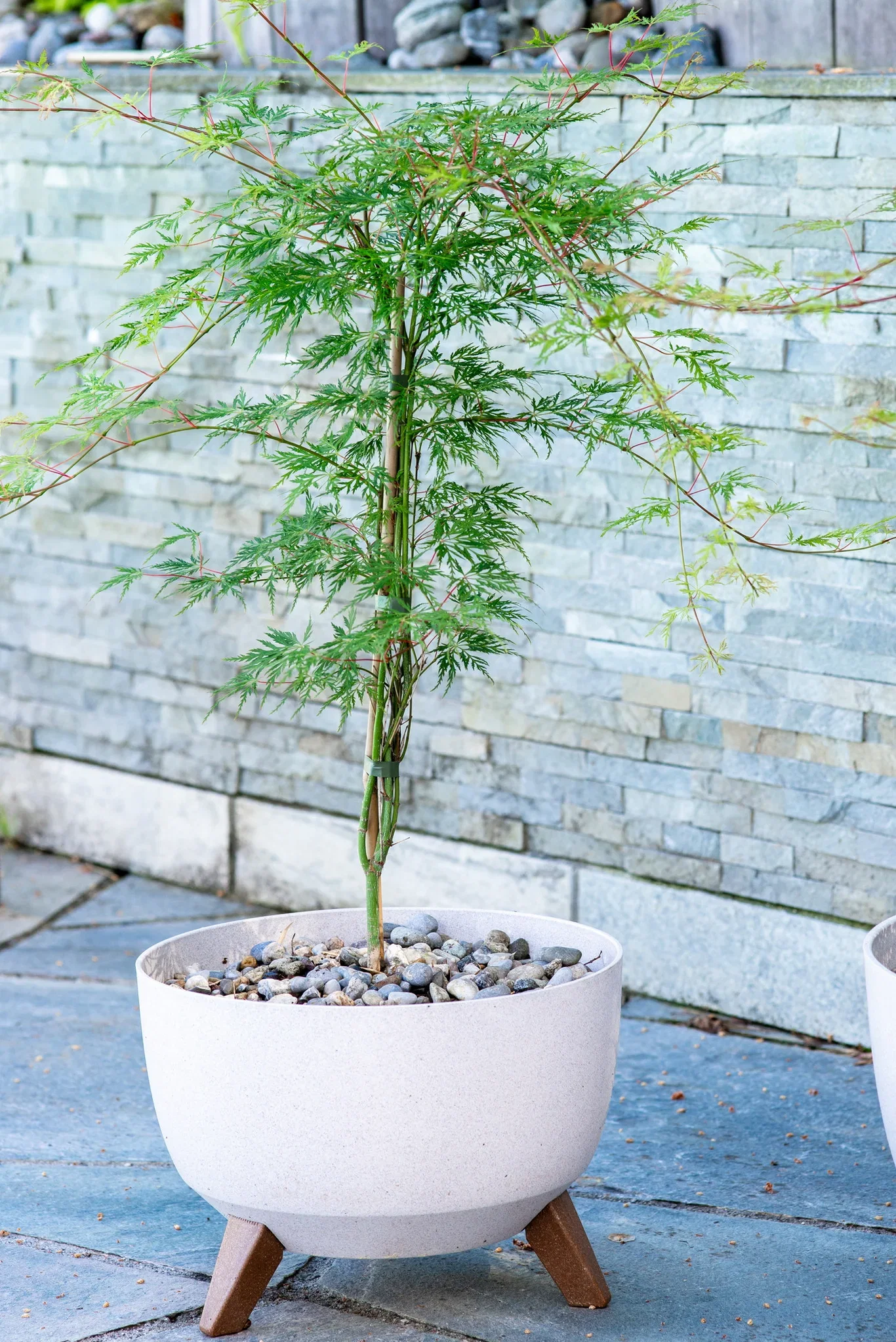 Hillegom bowl D33 white