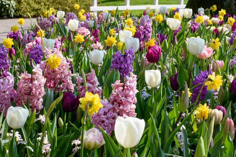 Easy Gardening Ratatouille, Pastel Tones