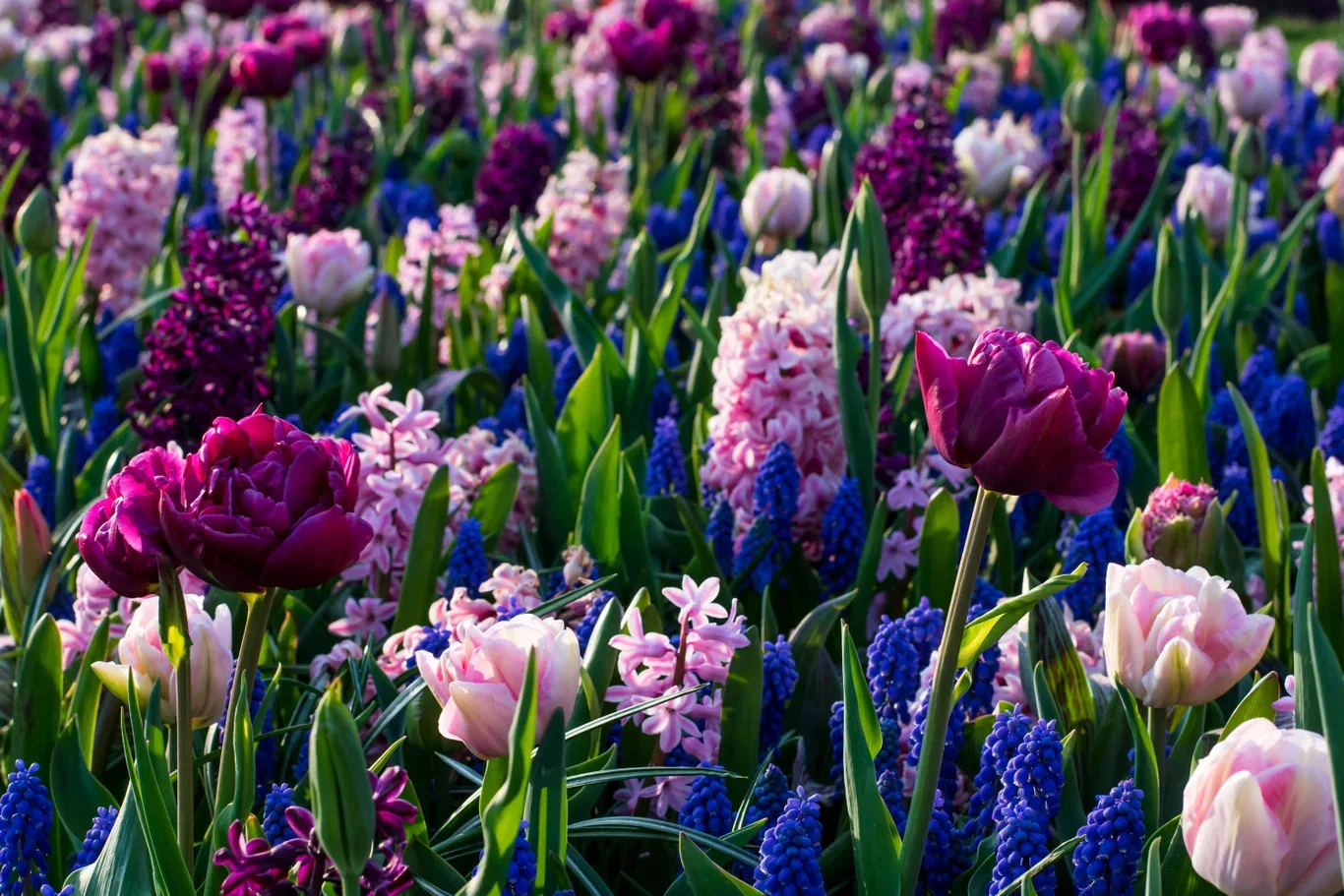 Easy Gardening Ratatouille, Purple & Blue Tones