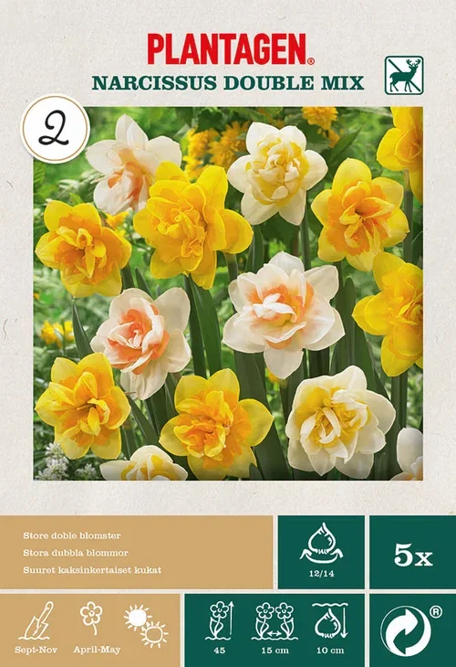 Narcissus Double Mixed